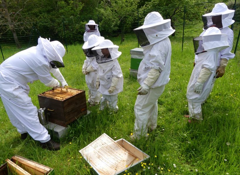 inspection des ruches et ajout des hausses le 8 mai