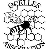 Association Ocelles Cergy