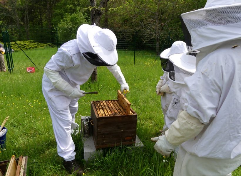 inspection des ruches et ajout des hausses le 8 mai